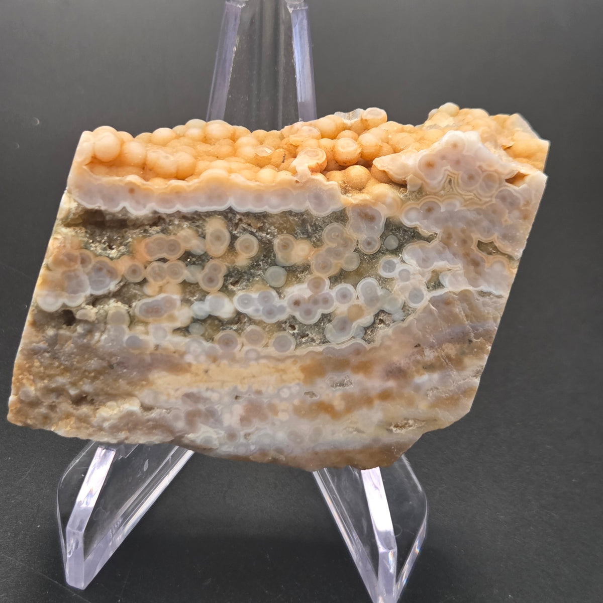 Polished Ocean Jasper Slab, 103.75 grams — polished slab