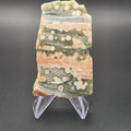 Polished Ocean Jasper Slab, 110.45 grams — polished slab