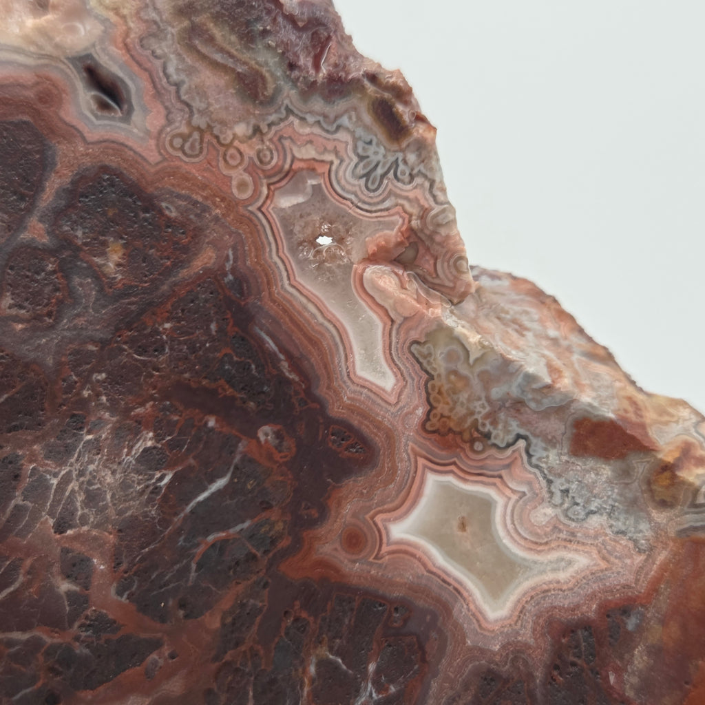 Detail of banding in Laguna Lace Agate Slab from Mexico