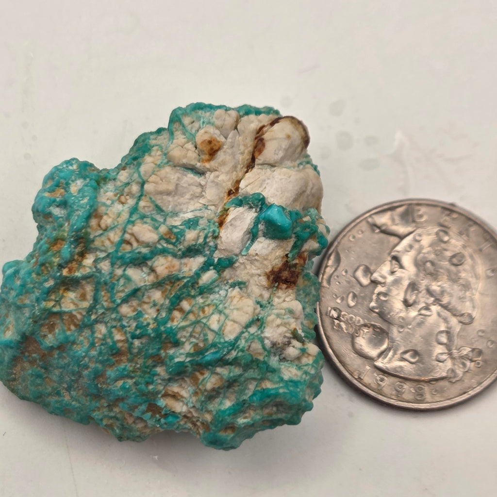 Close-up of Natural Fox Turquoise parcel