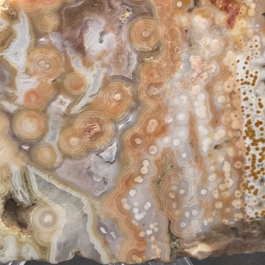 Alternate view of Polished Ocean Jasper Slab