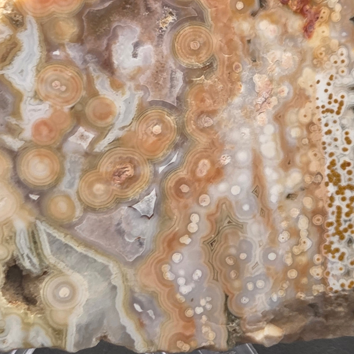 Alternate view of Polished Ocean Jasper Slab