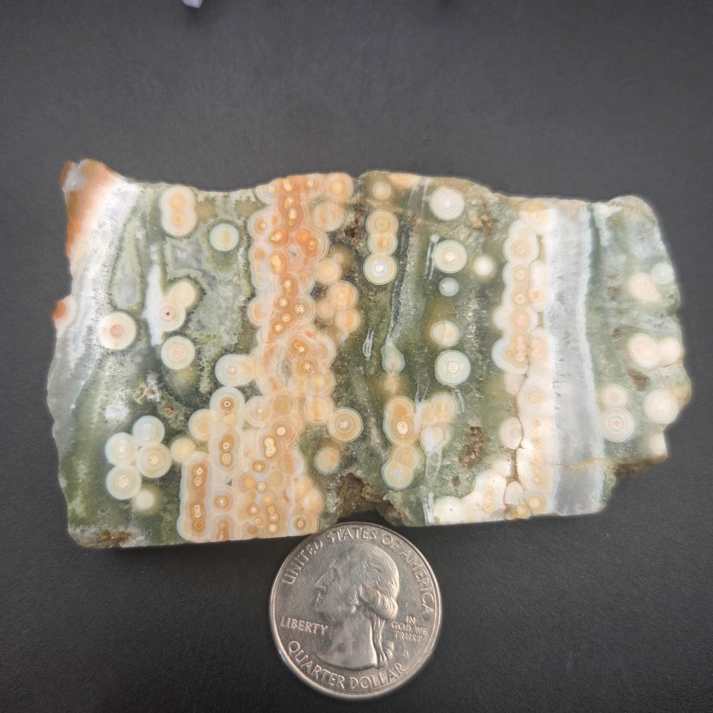 Alternate view of Polished Ocean Jasper Slab