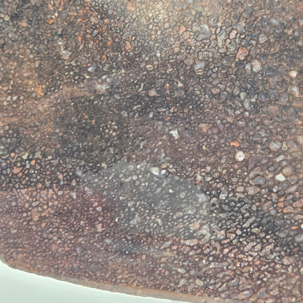 Alternate view of Gem Bone Slab 126 grams total