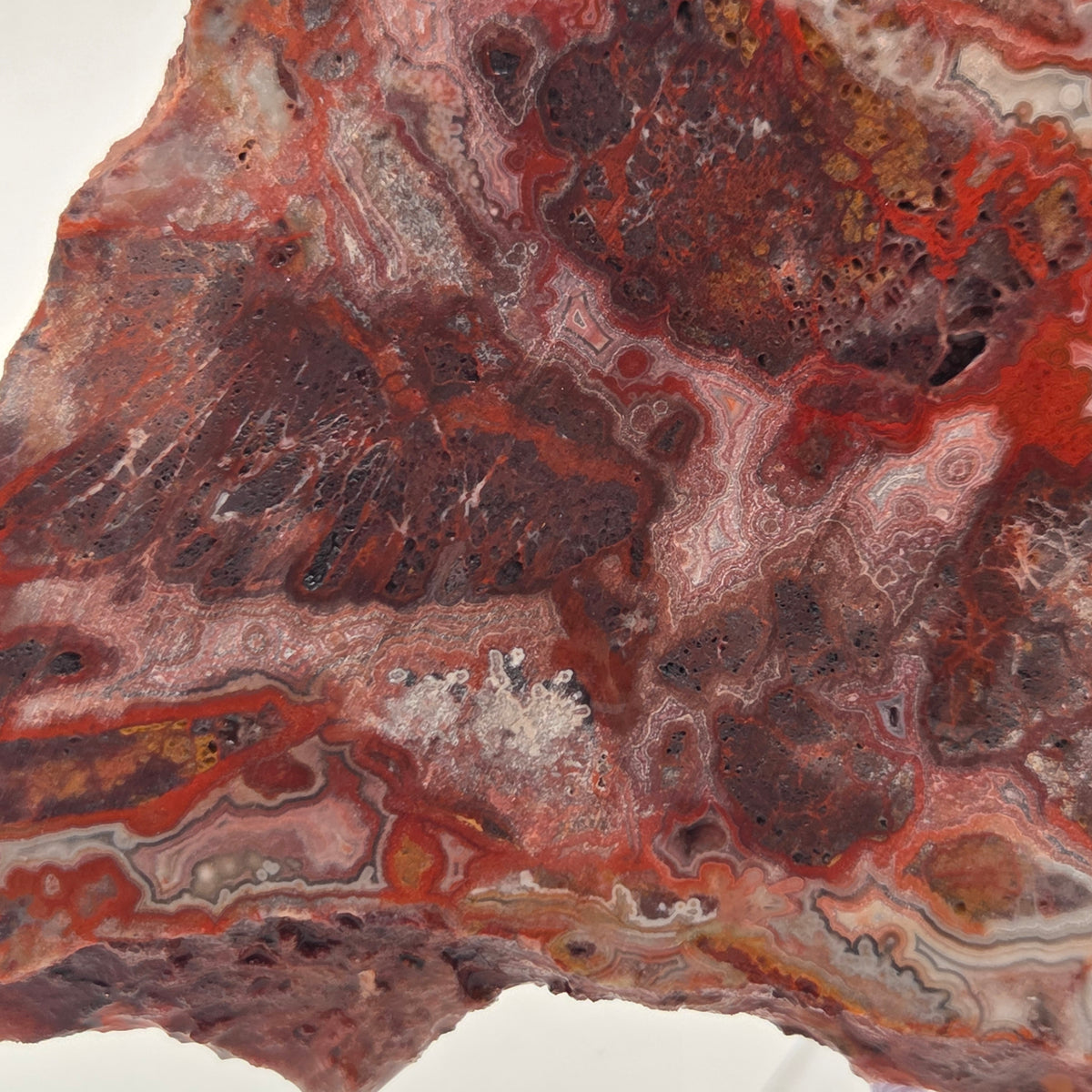 Detail of banding in Laguna Lace Agate Slab from Mexico