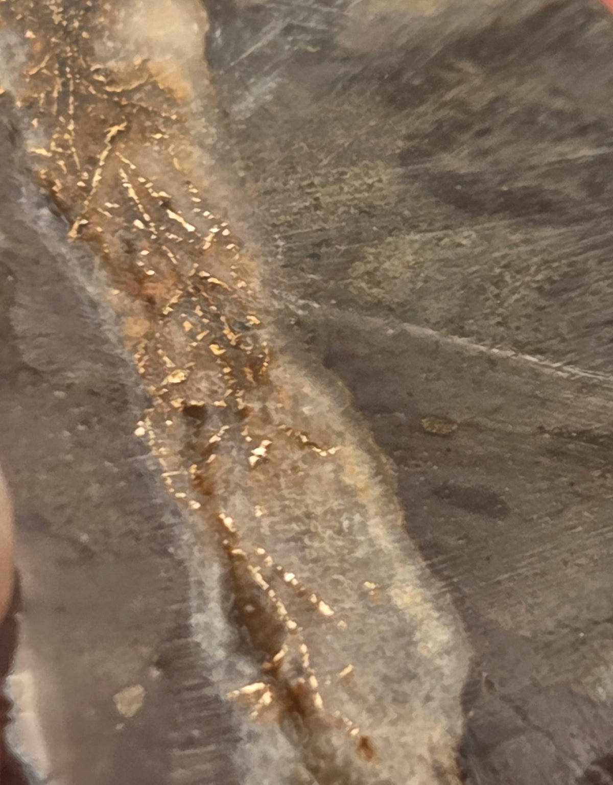 Close-up of Native Gold in Quartz, McLaughlin Mine, California