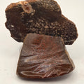 Gem Bone Slabettes 107 grams total — polished slabs
