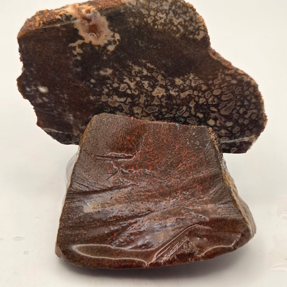 Gem Bone Slabettes 107 grams total — polished slabs