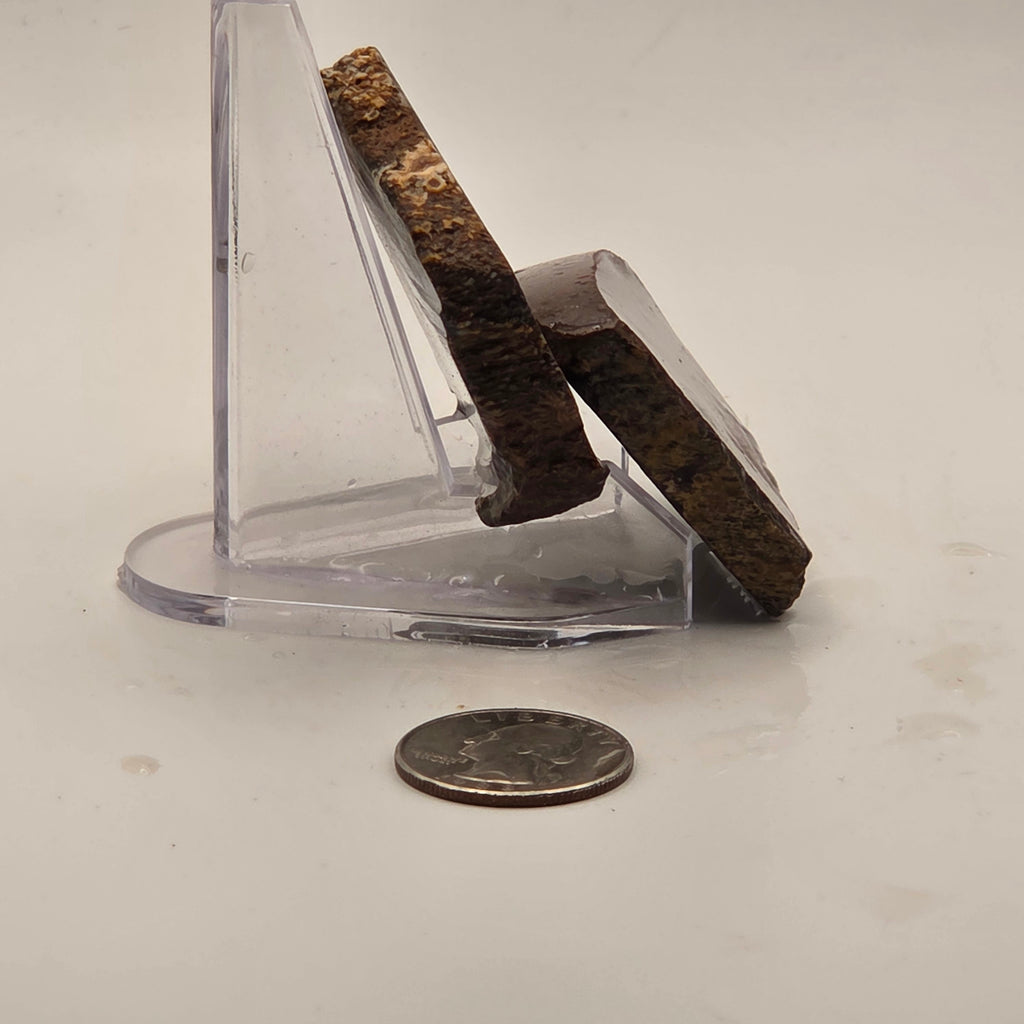 Detail of Gem Bone Slabettes 107 grams total