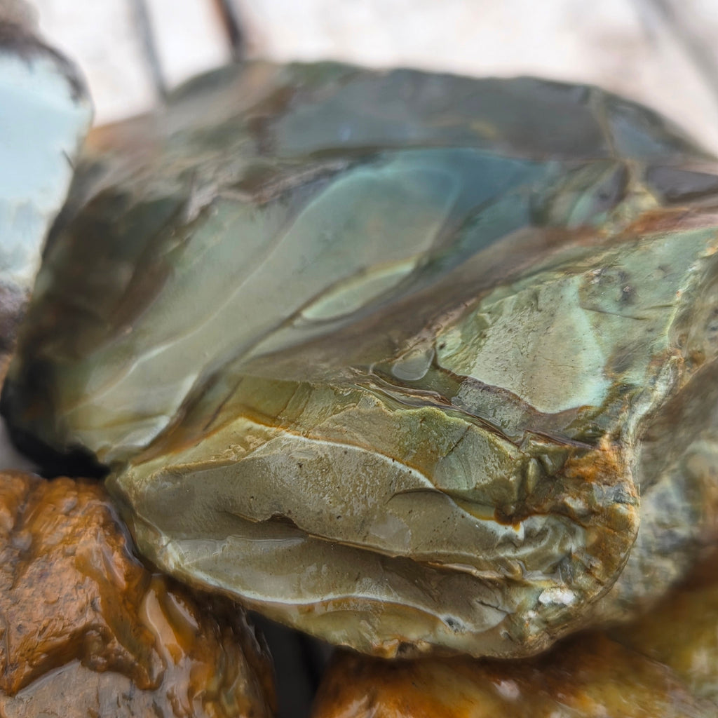 Detail of Polychrome Jasper