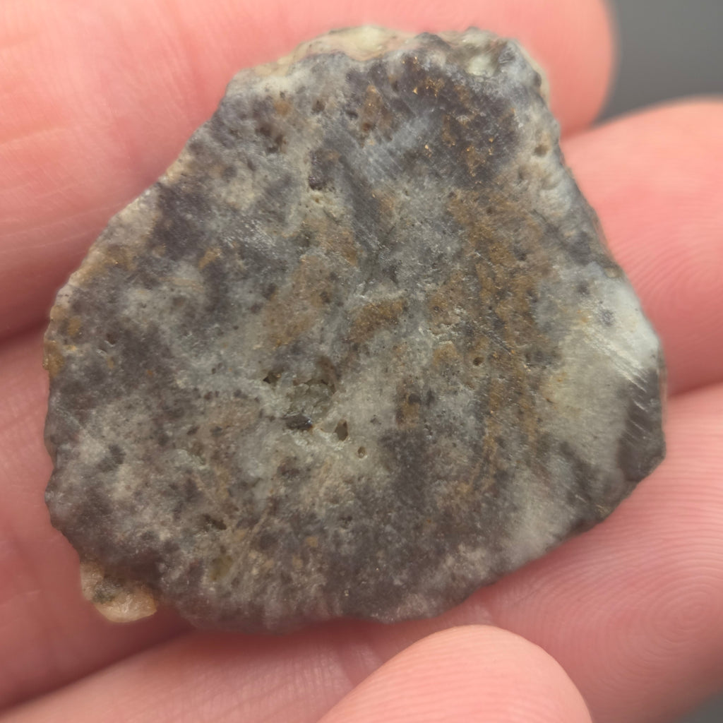 Close-up of Native Gold in Quartz, McLaughlin Mine, California
