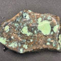 Angel Wing Variscite, 12.25 grams — natural mineral specimen