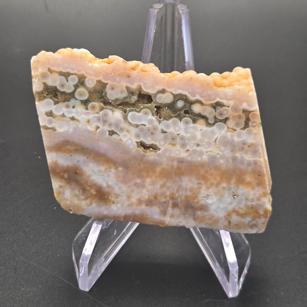 Close-up of Polished Ocean Jasper Slab