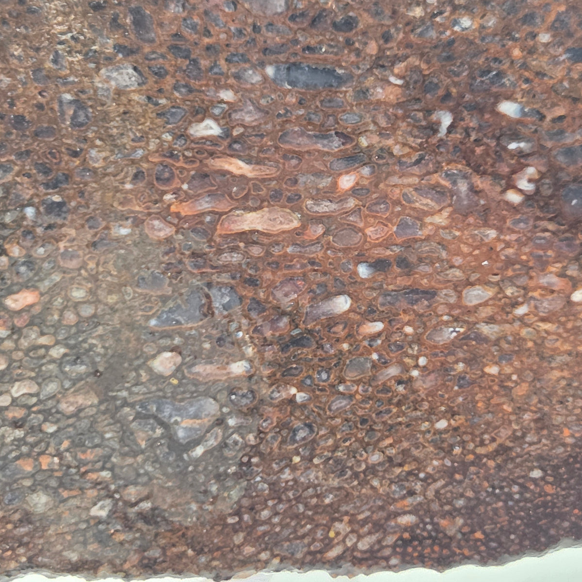 Detail of Gem Bone Slab 126 grams total