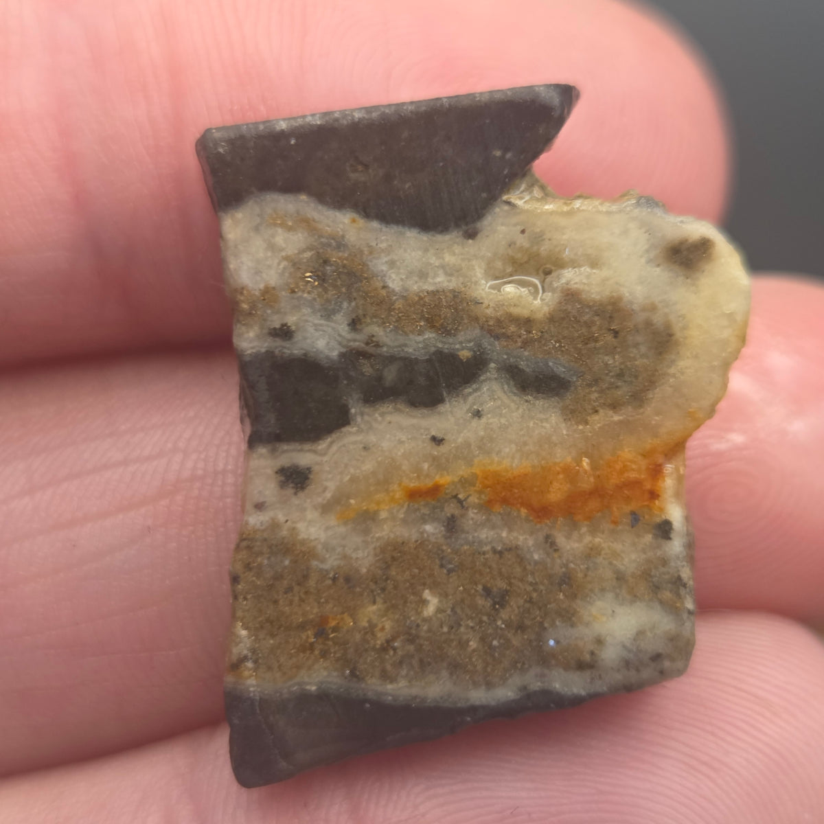 Native Gold in Quartz, McLaughlin Mine, California, 5.73 grams — natural mineral specimen