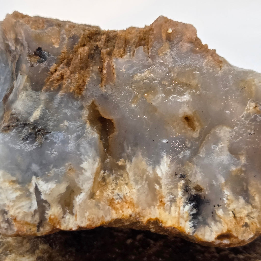 Alternate view of Graveyard Point Plume Agate