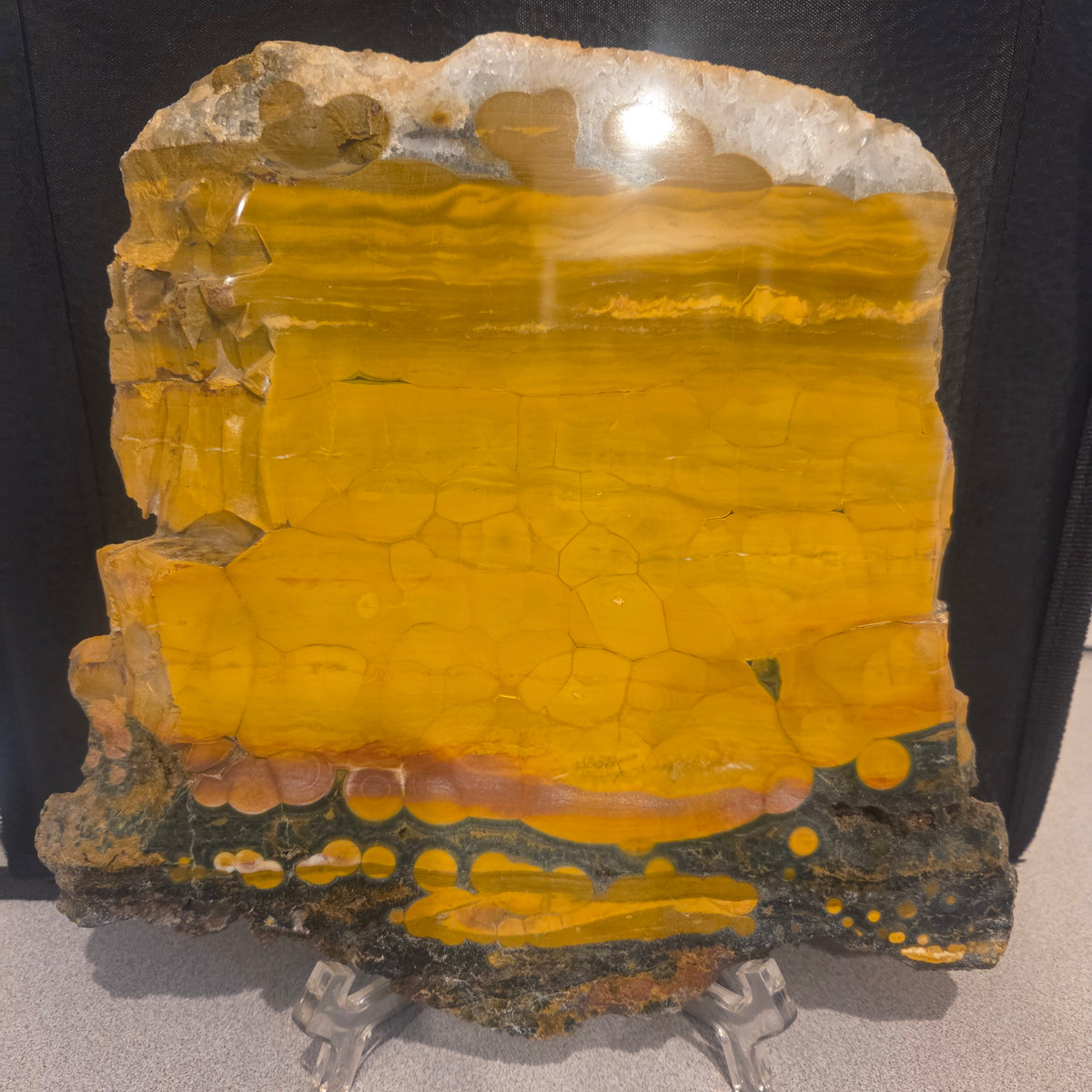 Polished Kambaby Ocean Jasper slab from Madagascar with green and cream orbicular eye patterns